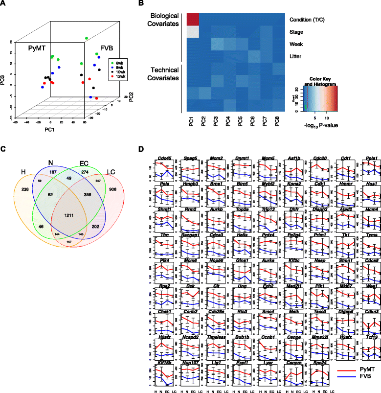 Transcriptomic dynamics of breast cancer progression in the MMTVPyMT mouse model BMC Genomics