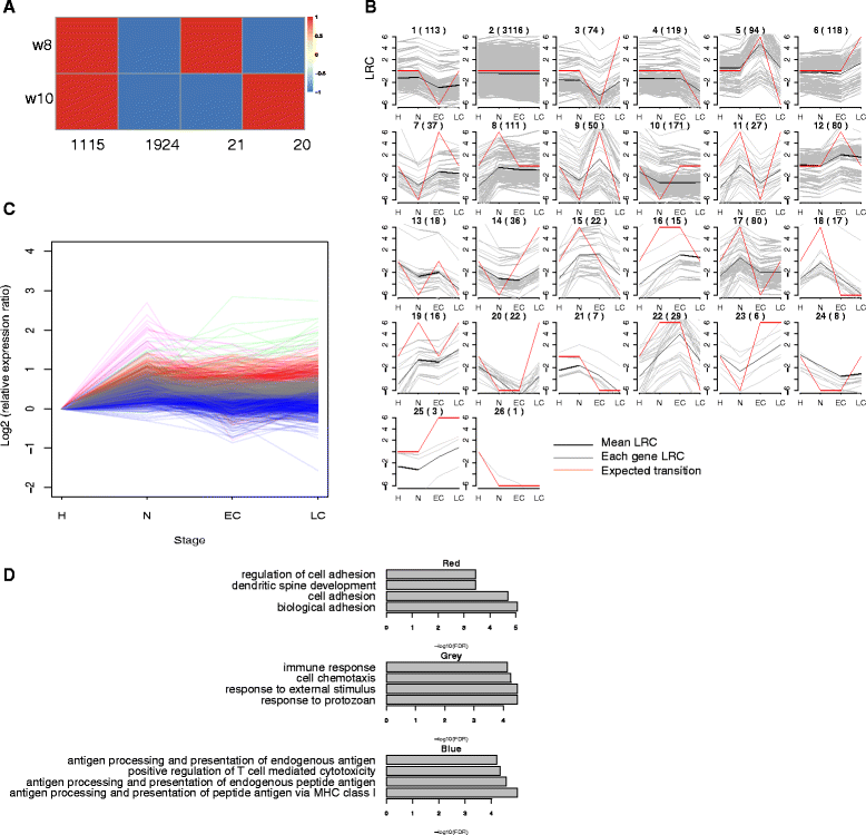 Transcriptomic dynamics of breast cancer progression in the MMTVPyMT mouse model BMC Genomics