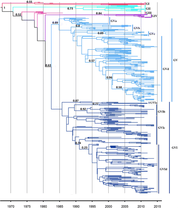 Evolutionary and analysis of the VP2 gene of canine parvovirus BMC Genomics Full Text
