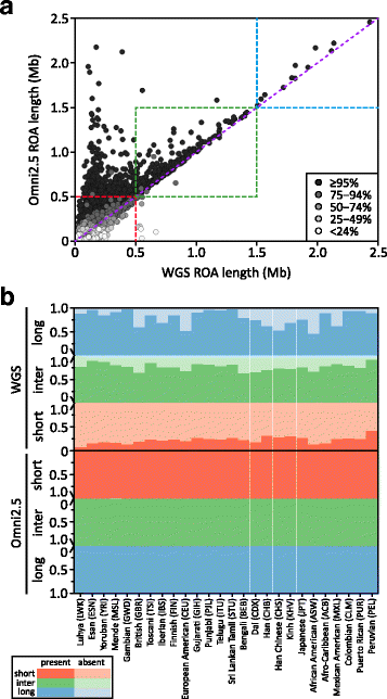 Weighted Likelihood Inference Of Genomic Autozygosity