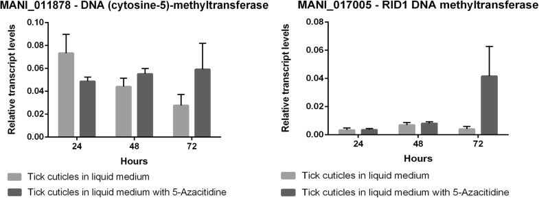Genome Wide Dna Methylation Analysis Of Metarhizium Anisopliae During Tick Mimicked Infection Condition Springerlink Genome Wide Dna Methylation Analysis Of Metarhizium Anisopliae During Tick Mimicked Infection Condition Springerlink