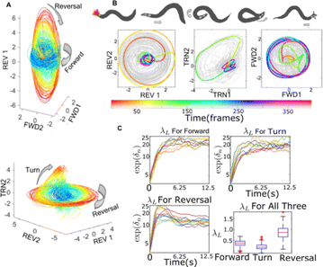 25th Annual Computational Neuroscience Meeting Cns 2016