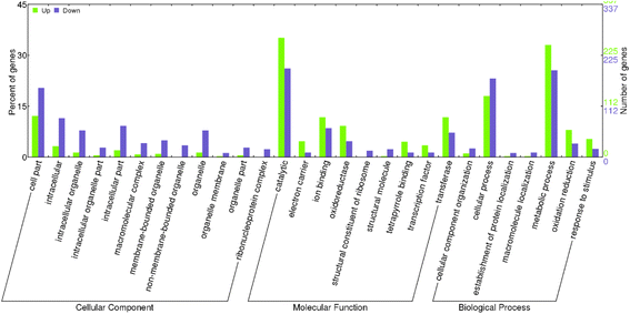Comparative Transcriptome Profiling Of The Fertile And Sterile Flower Buds Of A Dominant Genic Male Sterile Line In Sesame Sesamum Indicum L Springerlink