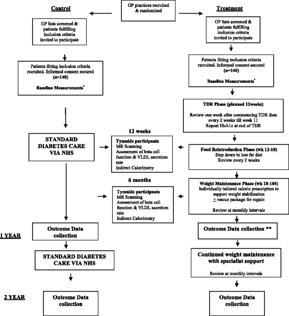 Counterweight Plus Diet Chart