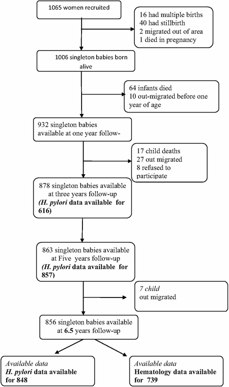 Effect Of Early And Current Helicobacter Pylori Infection On The