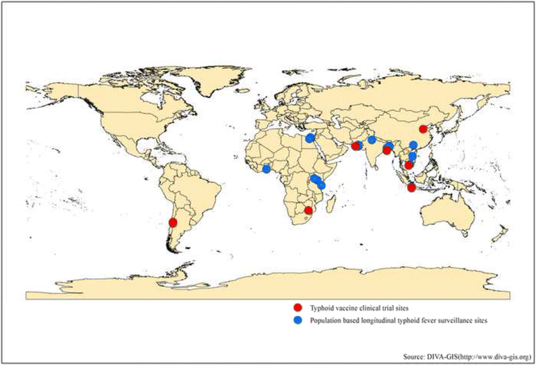 what is the literature review of typhoid fever