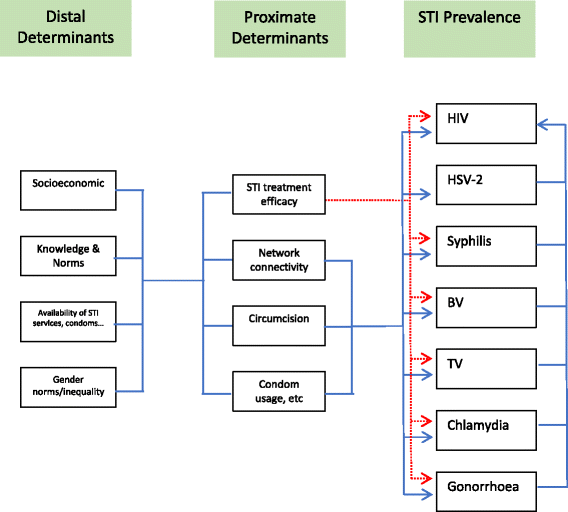 Strong Associations Between National Prevalence Of Various Stis Suggests Sexual Network