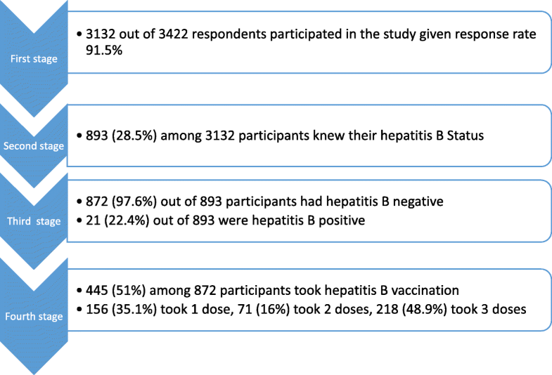Uptake of hepatitis B vaccination and its determinants among health