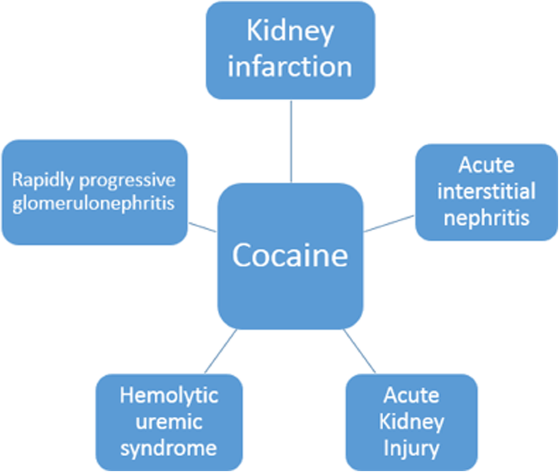 Spectrum of acute kidney injury associated with cocaine use report of