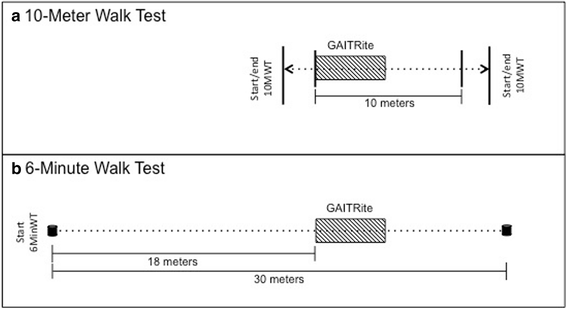 Data Processing Simultaneously To The Timed Walk Tests Data Processing Simultaneously To The Timed Walk Tests