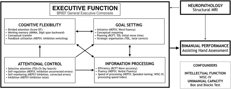 Executive Function Not Panacea For >> Cognition And Bimanual Performance In Children With Unilateral Executive Function Not Panacea For >> Cognition And Bimanual Performance In Children With Unilateral