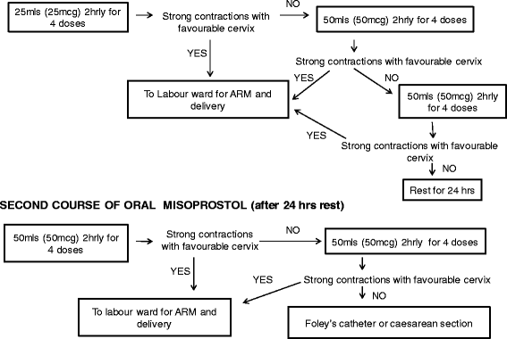 Cytotec For Induction Dose