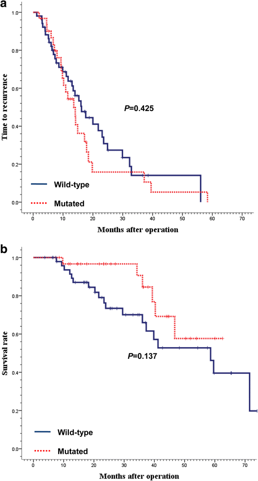 The impact of KRAS mutations on prognosis in surgically