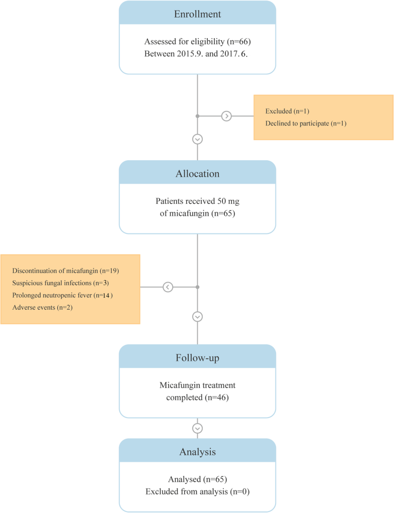 Micafungin prophylaxis for acute leukemia patients