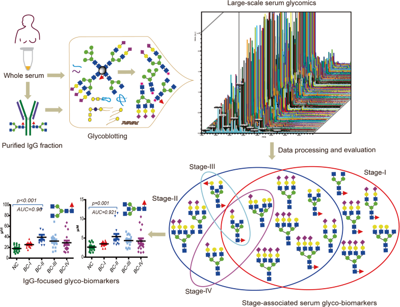 Graphical Abstract image