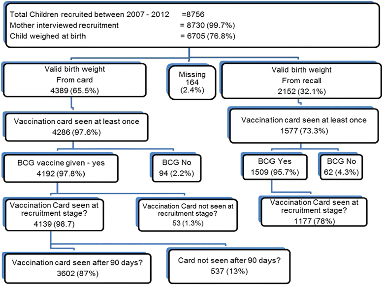 Effects of low birth weight on time to BCG vaccination in an urban poor