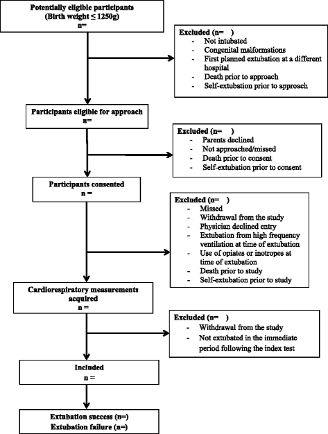 argumentative words in an essay hooks