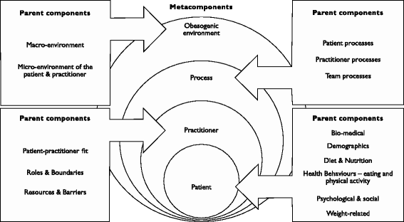 micro approach to health behavior diet and exercise micro approach to health behavior diet and exercise