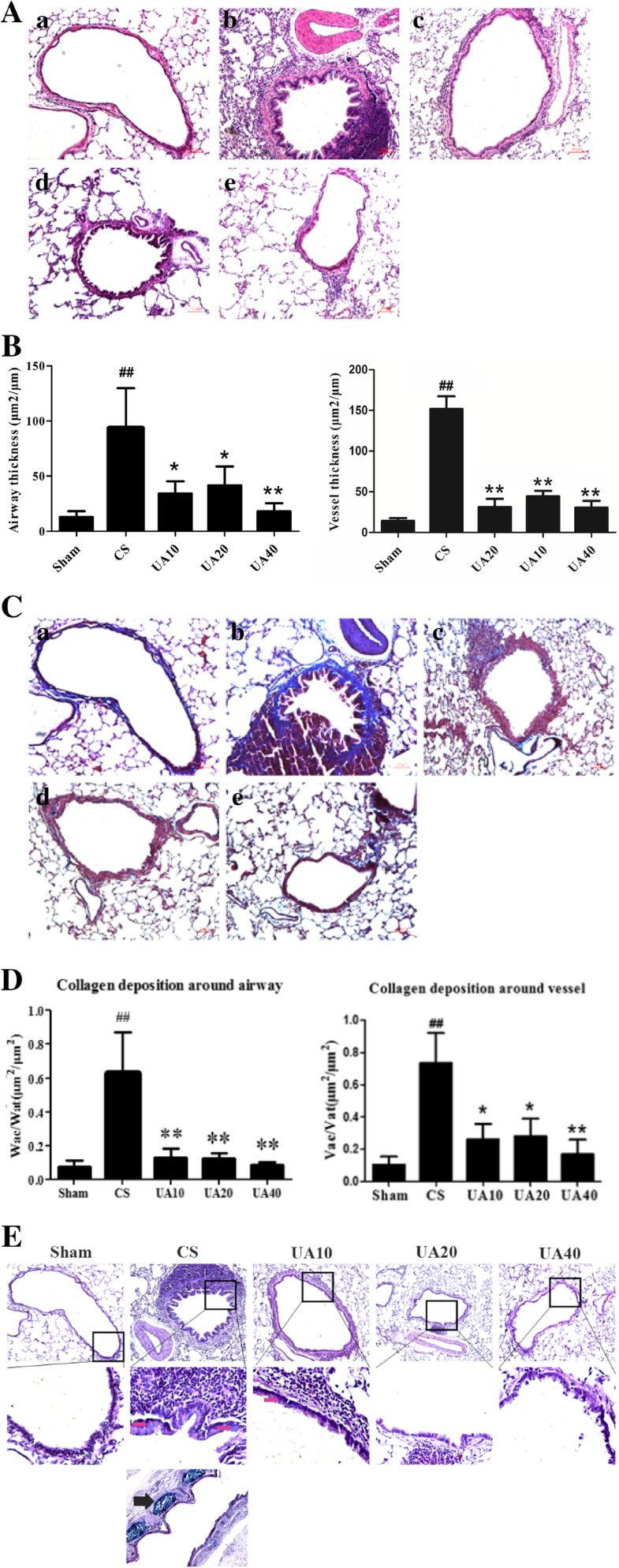 Compounds and reagents