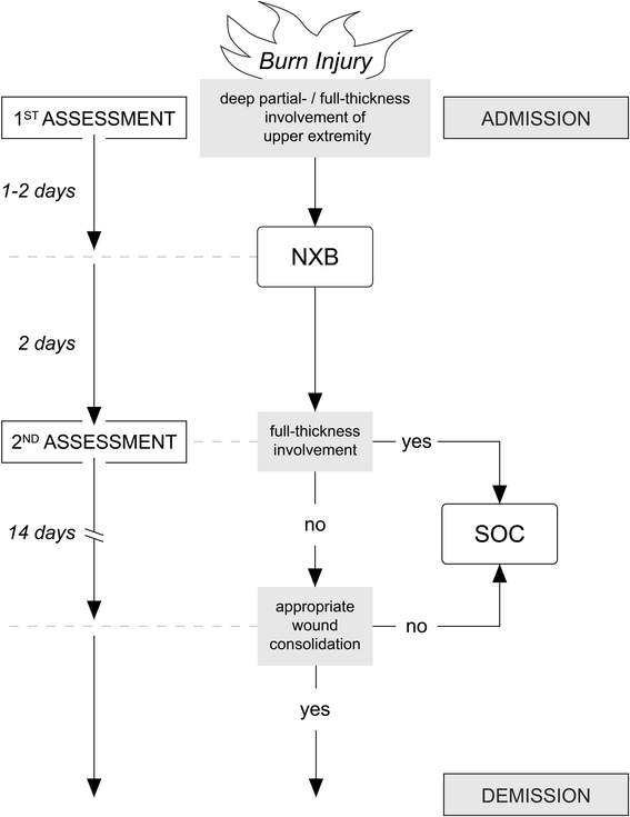Enzymatic debridement for the treatment of severely burned upper