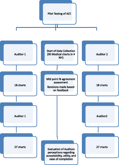 Hospice Chart Audit Tool Template