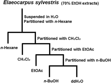 etoac