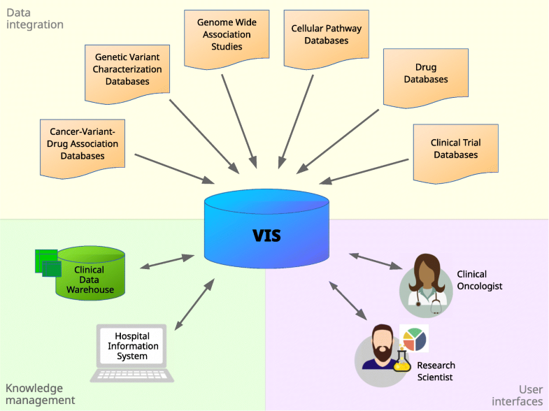 Variant information systems for precision oncology BMC Medical