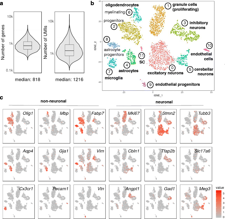 Cell fixation and preservation for dropletbased singlecell