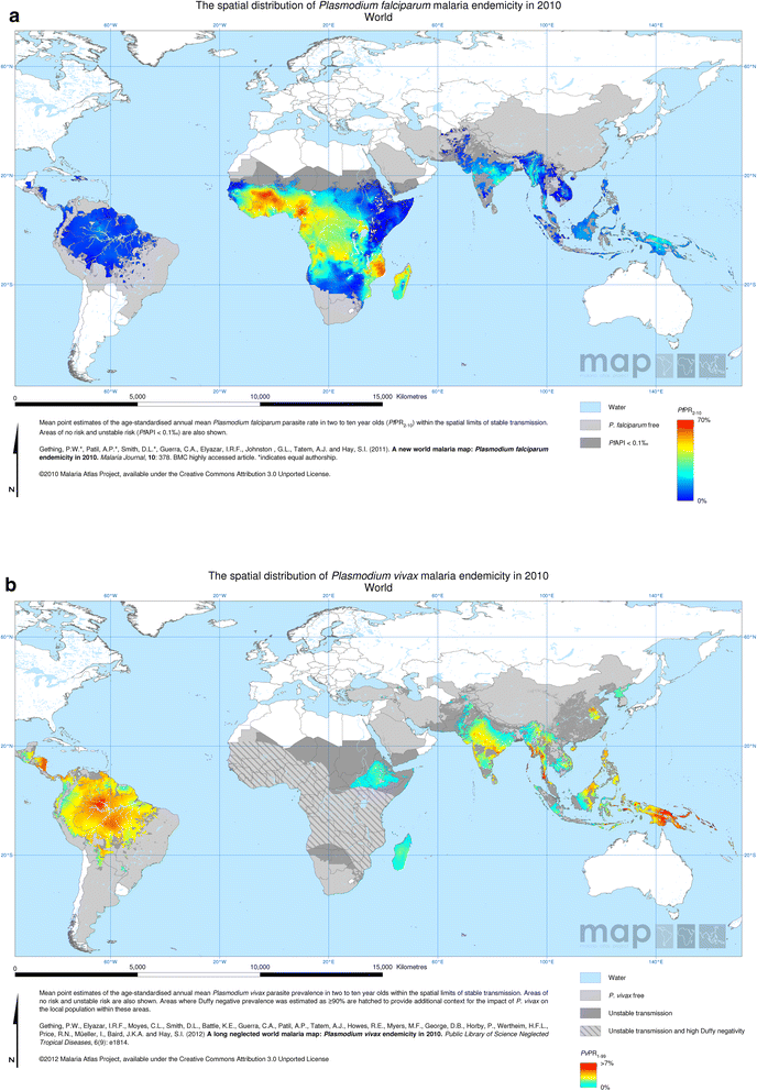 Malaria mapping understanding the global endemicity of falciparum and