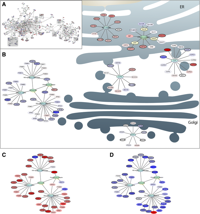 log2 fold change cut off of the Network mouse reconstruction pathway secretory log2 fold change cut off of the Network mouse reconstruction pathway secretory