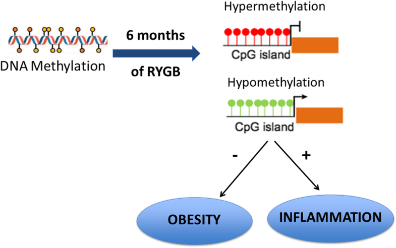 Graphical Abstract image