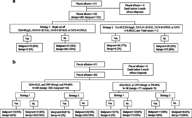 Pathophysiology Of Pleural Effusion In Flow Chart