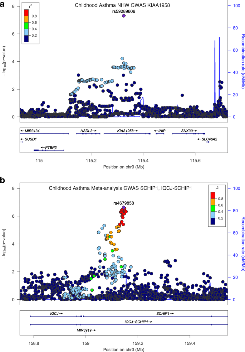 Childhood asthma is associated with COPD and known asthma variants in ...