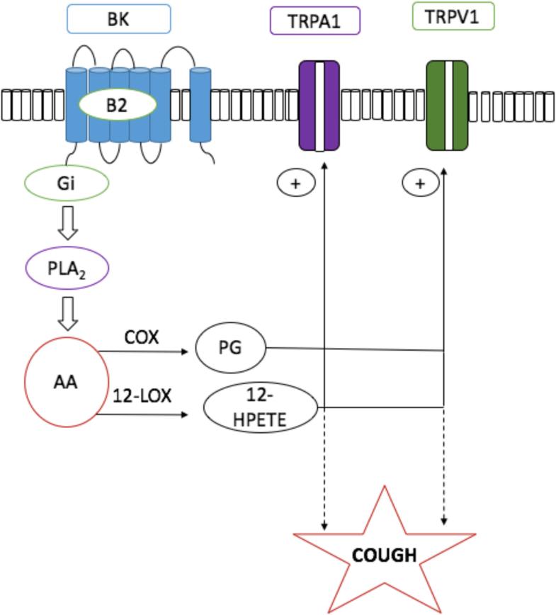 Graphical Abstract image