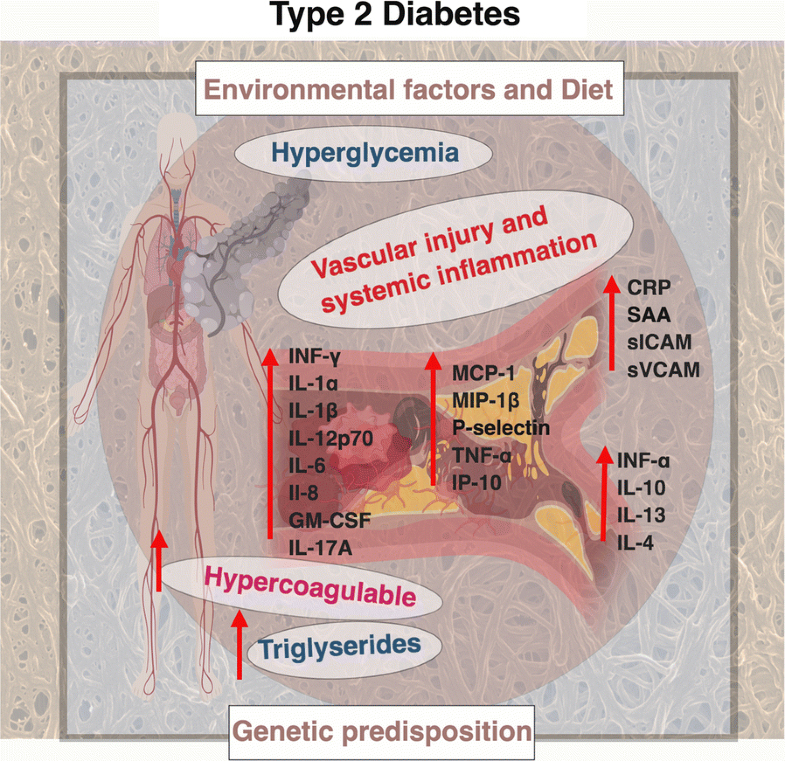 Inflammatory cytokines in type 2 diabetes mellitus as facilitators of