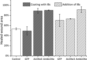 Positive In Vitro Wound Healing Effects Of Functional