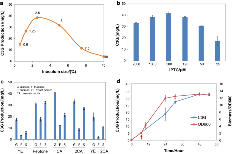 Metabolic Engineering Of Corynebacterium Glutamicum For Anthocyanin ...