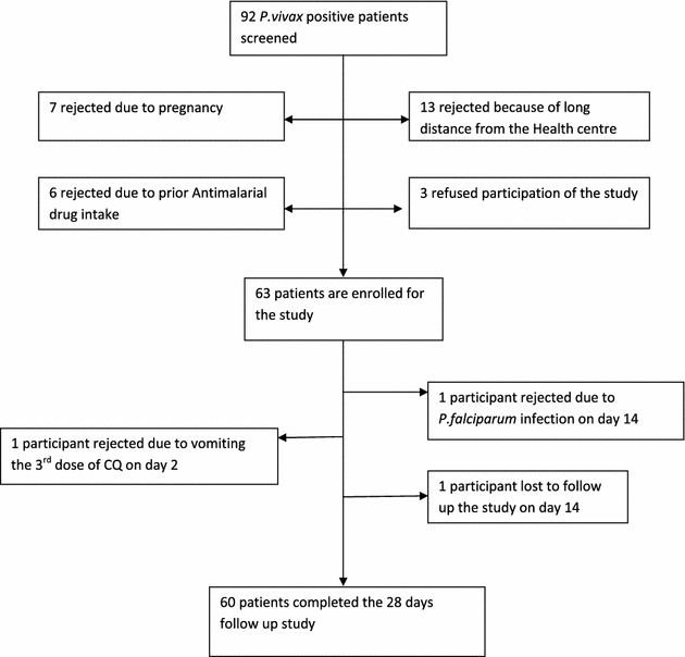 Therapeutic efficacy of chloroquine for the treatment of Plasmodium