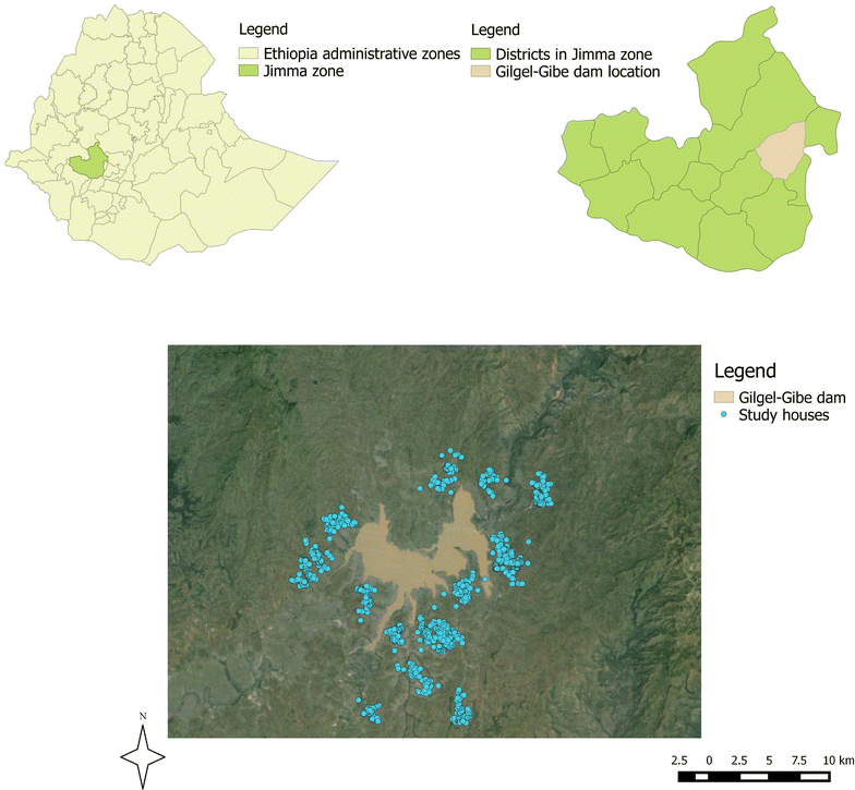 Identification of different malaria patterns due to Plasmodium