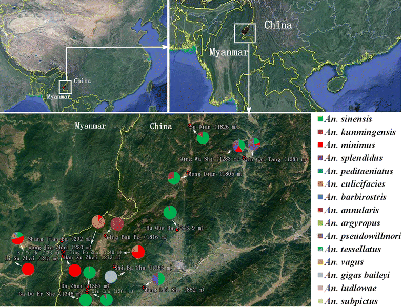 Receptivity To Malaria In The Chinamyanmar Border In -