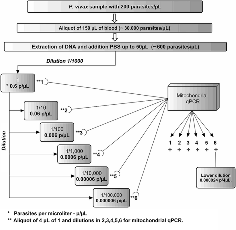 Strategy to improve malaria surveillance system preventing transfusion