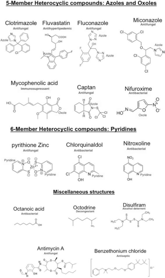Repurposing FDA approved drugs against the human fungal pathogen, Candida albicans Annals of