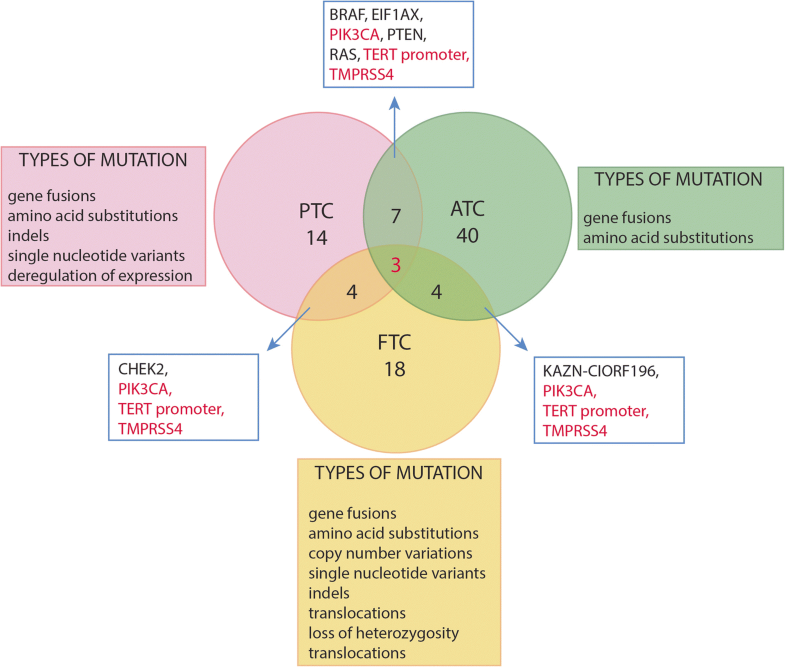 Thyroid cancers of follicular origin in a genomic light