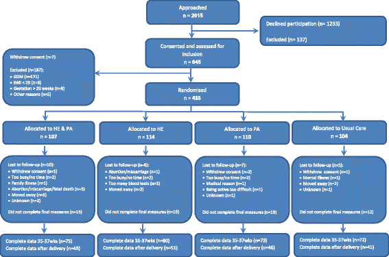 consort diagram of recruitment, randomization and drop out of