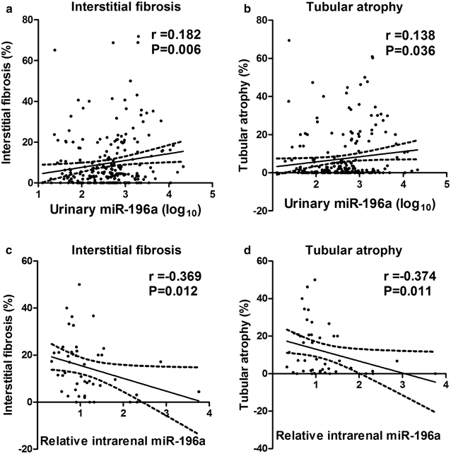 Urinary Mir 196a Predicts Disease Progression In Patients - 
