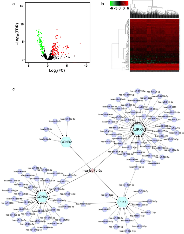 Joint bioinformatics analysis of underlying potential functions of hsa ...