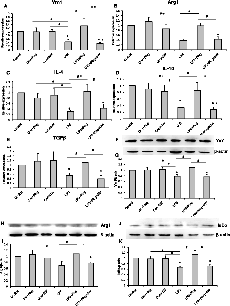 The Antidepressant Like Effects Of Pioglitazone In A Chronic