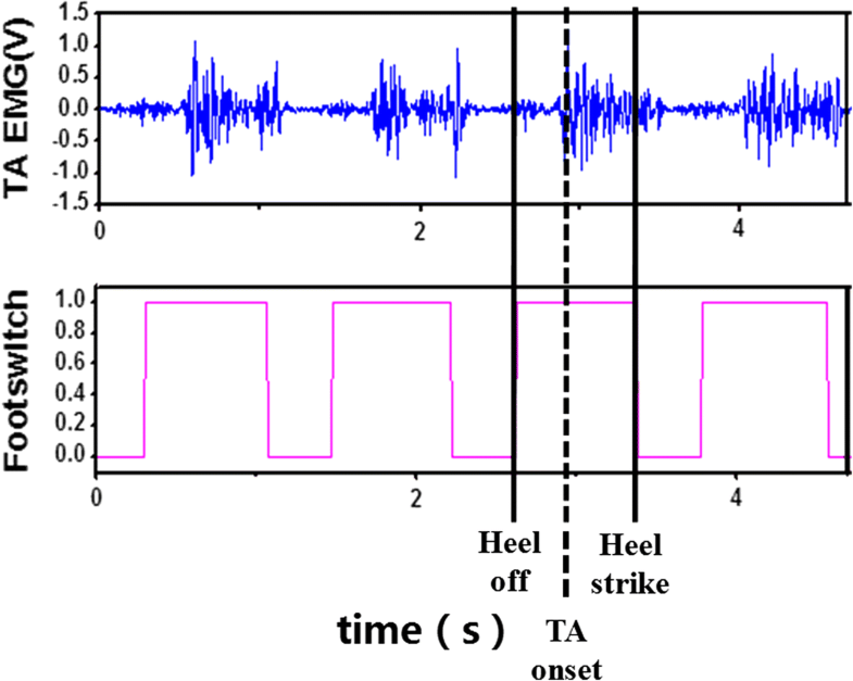 freefall position kinematic equation feet freefall position kinematic equation feet