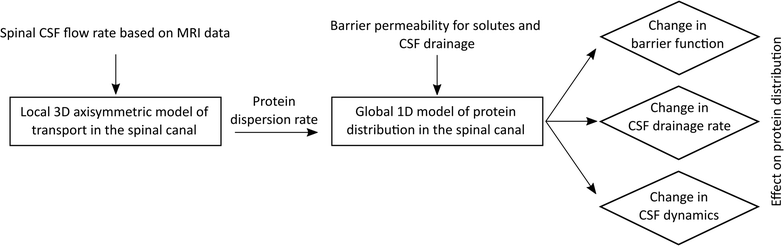 Csf Flow Chart