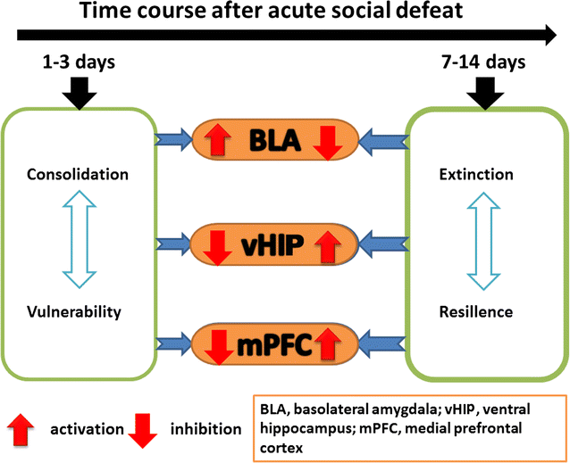 Graphical Abstract image